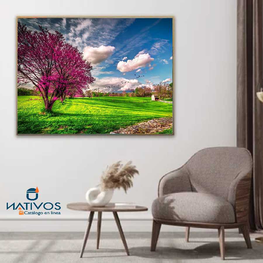 Cuadro decorativo paisajes (000208)